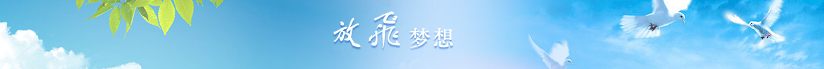 放飞梦想
